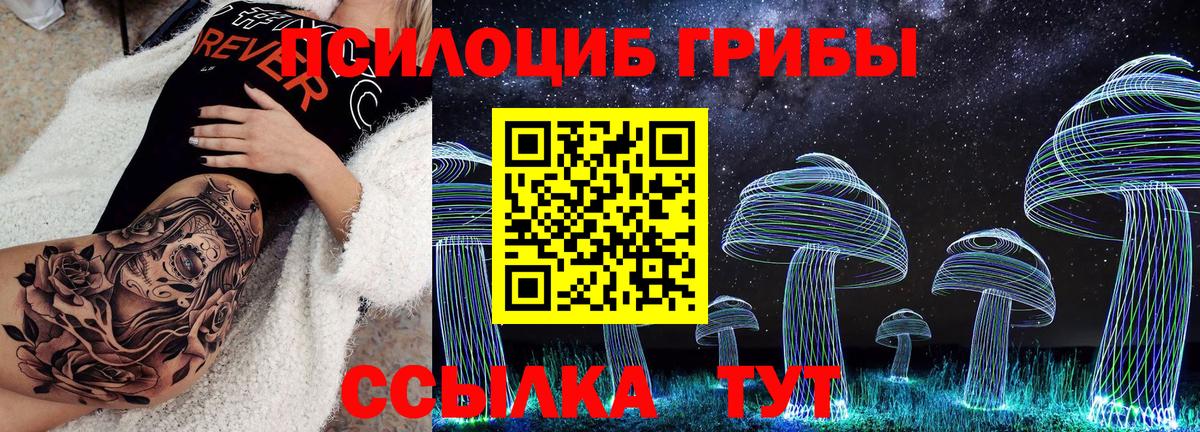 Галлюциногенные грибы Cubensis Сертолово