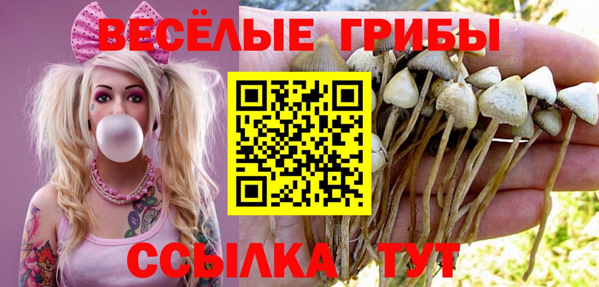 Сертолово  Галлюциногенные грибы MAGIC MUSHROOMS  купить закладку  Вход с VPN 